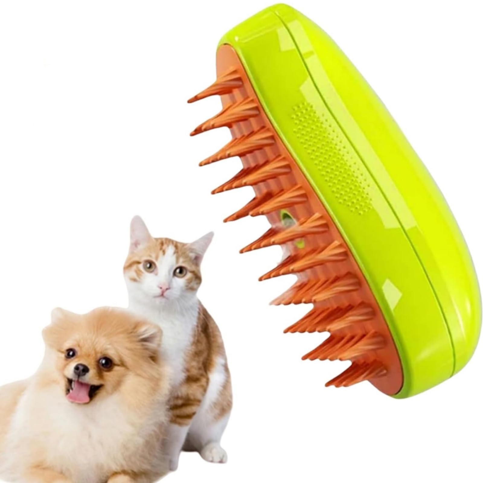 猫茶ページ ♡ #茶トラのメロン🍈 #三毛猫レモン🍋 無事に我が家を卒業しま